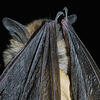User picture for Paul Kister